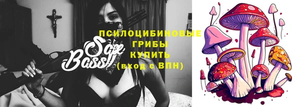 гашик Алзамай