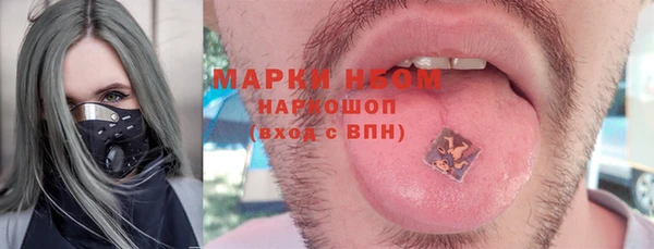 гашик Алзамай